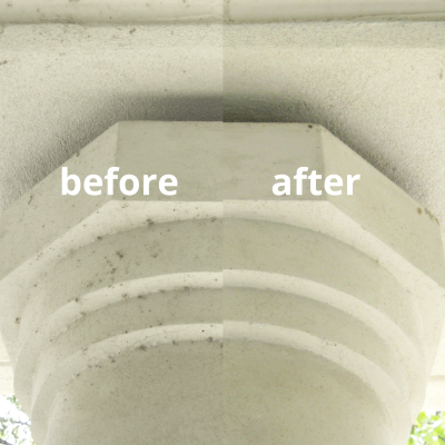 before and after cobwebbs copy